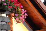 2011-08-31_06-35-03_DSC_2577.jpg