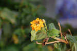 2011-08-31_06-37-24_DSC_2581.jpg