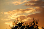 2011-08-31_06-37-55_DSC_2583.jpg