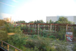 2011-09-01_19-12-47_DSC_2632.jpg