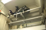 2011-09-01_20-25-58_DSC_2654.jpg