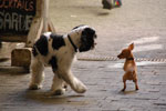 2011-09-02_14-08-21_DSC_2704.jpg