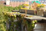 2011-09-02_15-07-41_DSC_2785.jpg