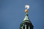 2011-09-02_15-23-48_DSC_2846.jpg
