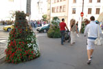 2011-09-02_16-41-00_DSC_2908.jpg