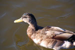 2011-09-03_17-58-09_DSC_2968.jpg