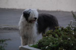 2011-09-04_19-25-29_DSC_3145.jpg