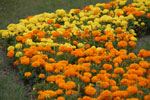 2011-09-08_17-50-46_DSC_3323.jpg