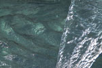 2011-09-10_15-41-26_DSC_3533.jpg