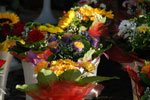 2011-09-10_17-12-29_DSC_3556.jpg