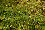 2011-09-12_18-05-35_DSC_3602.jpg