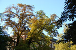 2011-09-12_18-06-19_DSC_3603.jpg