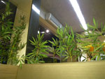 2011-09-16_18-26-46_IMGP5795.jpg