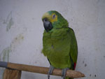 2011-09-20_15-50-38_IMGP6039.jpg