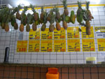 2011-09-21_14-21-23_IMGP6074.jpg