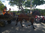 2011-09-21_14-47-06_IMGP6083.jpg