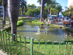 2011-09-21_14-55-37_IMGP6085.jpg