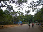 2011-09-23_14-50-23_IMGP6249.jpg