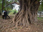 2011-09-24_14-56-12_IMGP6291.jpg