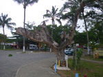 2011-09-27_13-19-51_IMGP6392.jpg