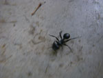 2011-09-27_15-20-54_IMGP6405.jpg