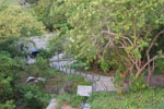 DSC_3692.jpg