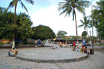 DSC_3721.jpg
