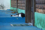 DSC_3725.jpg