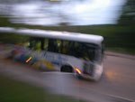 IMGP6429.jpg