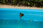 2011-09-29_14-08-44_DSC_3734.jpg