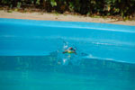 2011-09-29_14-08-51_DSC_3736.jpg