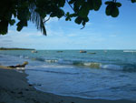 Photos