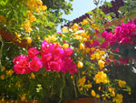 2011-09-30_12-40-58_IMGP6570.jpg