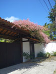 2011-09-30_12-41-16_IMGP6571.jpg