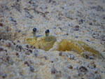 2011-09-30_14-49-16_IMGP6629.jpg