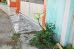 2011-10-01_15-51-21_DSC_3739.jpg