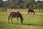2011-10-01_16-29-00_DSC_3762.jpg