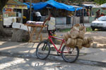 2011-10-01_16-31-34_DSC_3769.jpg