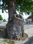2011-10-03_14-09-58_IMGP6860.jpg