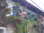 2011-10-03_14-41-27_IMGP6869.jpg