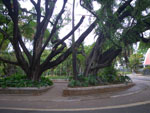 2011-10-05_14-59-22_IMGP6936.jpg