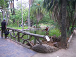 2011-10-05_15-02-29_IMGP6938.jpg