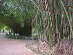 2011-10-05_15-04-01_IMGP6940.jpg