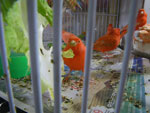 2011-10-05_16-33-12_IMGP6990.jpg