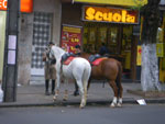 2011-10-05_17-12-31_IMGP7000.jpg