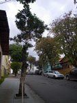 2011-10-06_16-49-34_IMGP7017.jpg