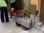 2011-10-07_11-30-11_DSCF4868.jpg