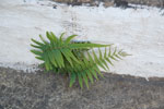 2011-10-07_16-46-03_DSC_3904.jpg