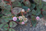 2011-10-07_16-46-49_DSC_3911.jpg