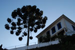 2011-10-07_17-06-25_DSC_3951.jpg